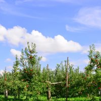 台風第19号により被害に遭われた皆さまへ